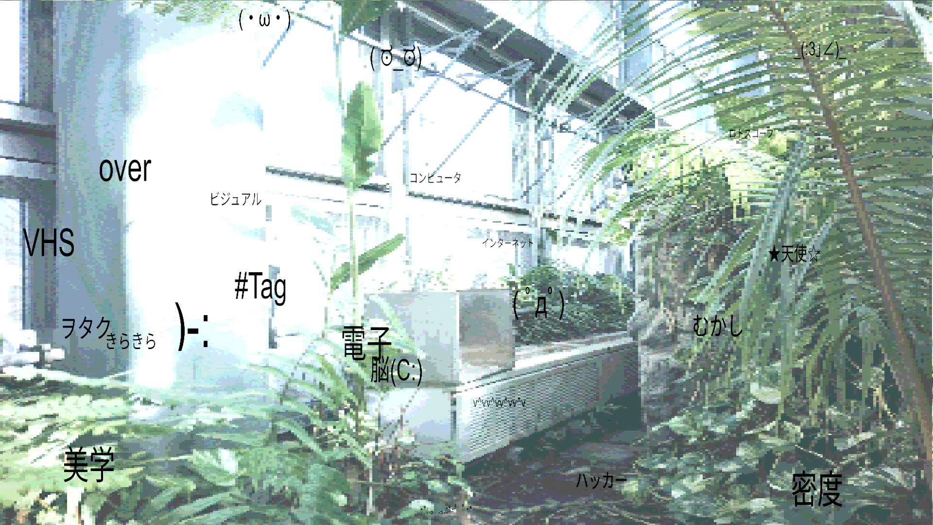photo_top